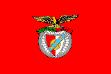 Benfica 3x5 Souvenir Flag 