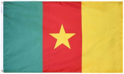 Cameroon 3x5 Polyester Flag
