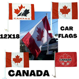 Canadian Sports Team Car Flag