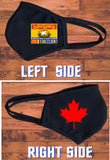 New Brunswick flag face mask/Canada provincial face mask/2 layer reusable/New Brunswick souvenir