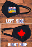 British Columbia flag face mask/Canada provincial face mask/2 layer reusable/British Columbia souvenir