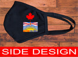 British Columbia flag face mask/Canada provincial face mask/2 layer reusable/British Columbia souvenir