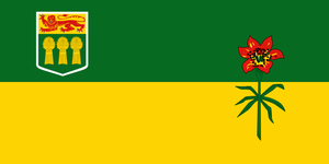Saskatchewan 3x5 flag/Canada Provincial flag/Nylon material/Souvenir