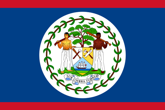 Belize 3x5 Flag